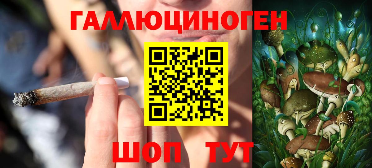 Галлюциногенные грибы Cubensis Биробиджан