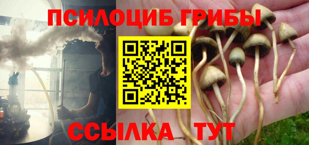 Галлюциногенные грибы Cubensis  продажа наркотиков  Биробиджан  Вход с VPN 